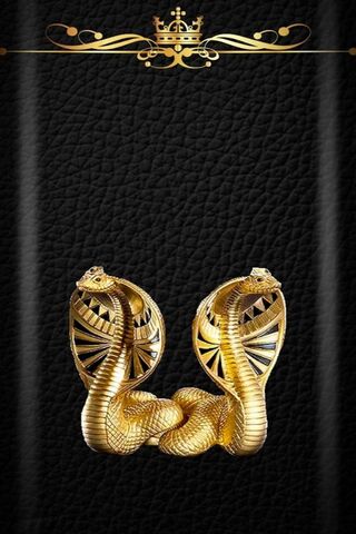 Gold Cobra