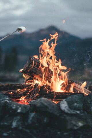 Camping