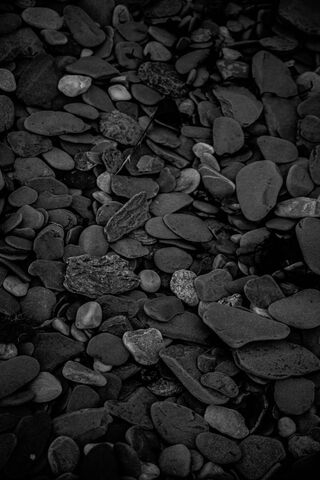 Mysteries of Pebble Beach 🌊✨