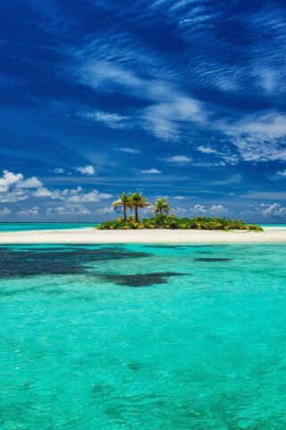 Tropical Paradise Await..