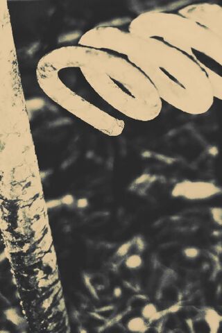 Whispers of Time: The Beauty of Coil Rust