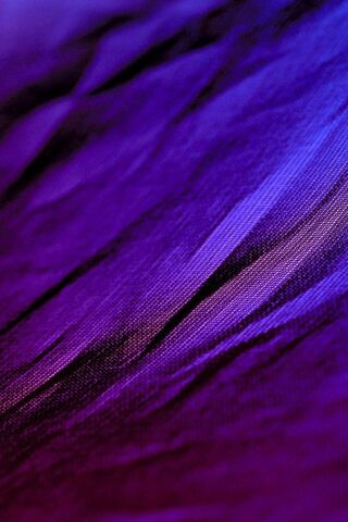 Purple Texture