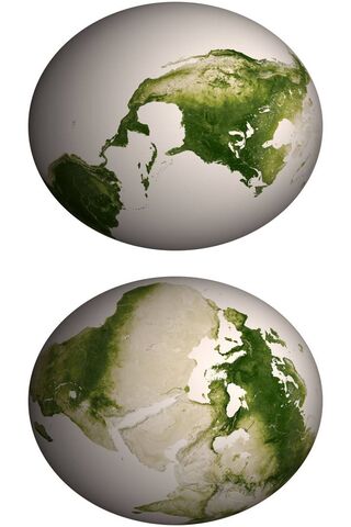 Emerald Earth: A Green Perspective 🌍💚