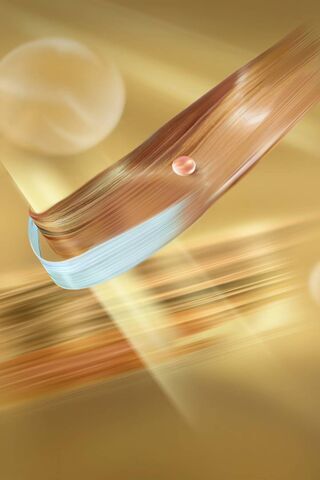 Elegance in Motion: The Honor 9 Experience