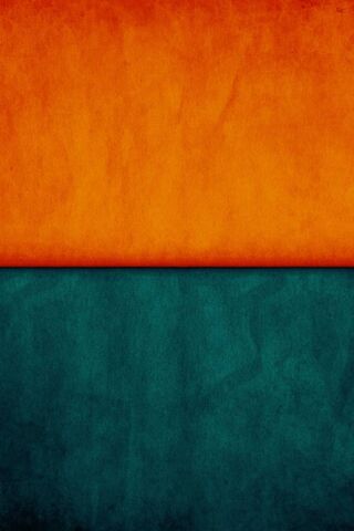 Vibrant Duo: The Perfect Blend