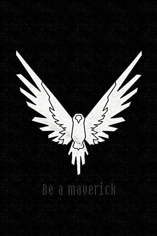 Soar Like a Maverick! 🦅