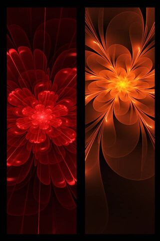 Floral Fusion: A Dance of Colors 🌺✨