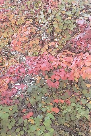 Autumn's Embrace 🍂✨