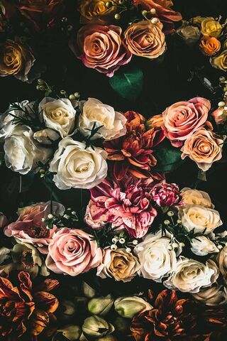Flori: A Blooming Symph..