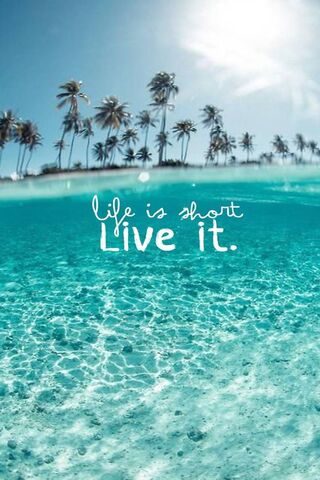 Embrace Every Moment 🌊✨
