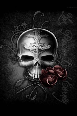 Beauty in Darkness: The..