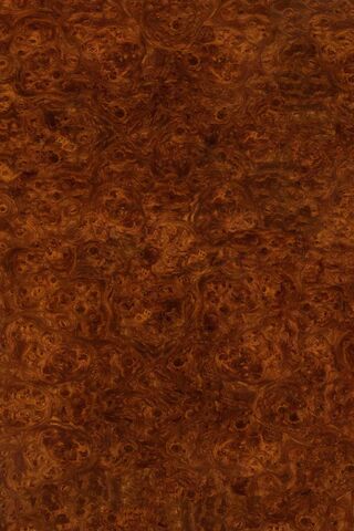 Nature's Canvas: The Beauty of Wood Grain 🌳✨