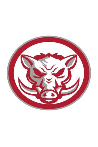 Fierce Boar Emblem: Str..