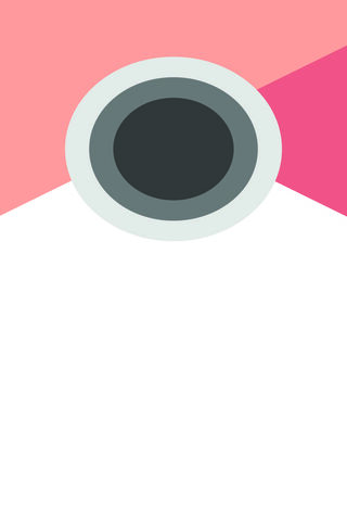 The Flat Eye