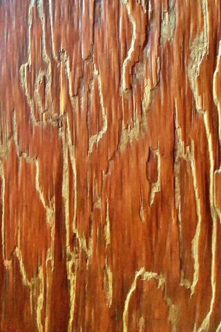 Nature's Canvas: The Beauty of Dlr Wood Grain 🌳✨