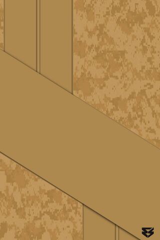 Desert Mirage: The Shuji Camo Experience 🌵✨