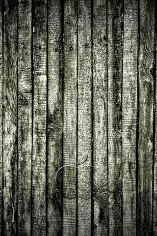 Mystic Forest Vibes 🌲✨