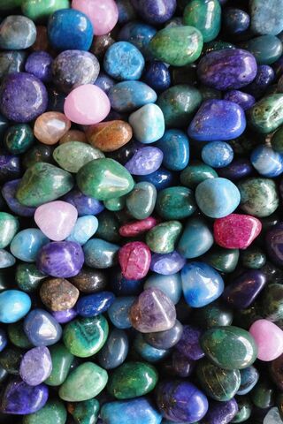 Nature's Colorful Treas..