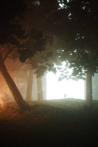 Enchanted Pathway to Wonder 🌲✨