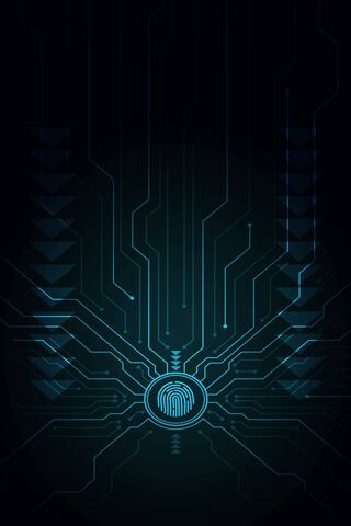 Digital Identity: The Future of Fingerprints 🔍✨