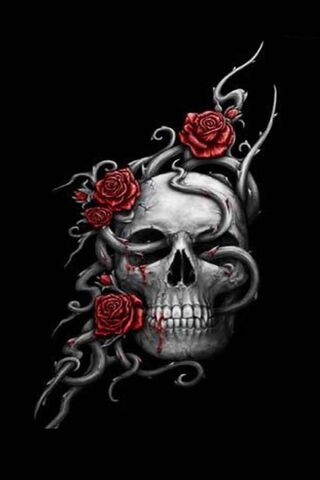 Rose and Skull Wallpaper - Download to your mobile from PHONEKY