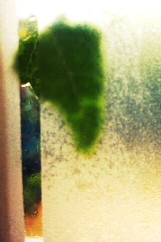 Whispers of a Rainy Day 🌧️🍃