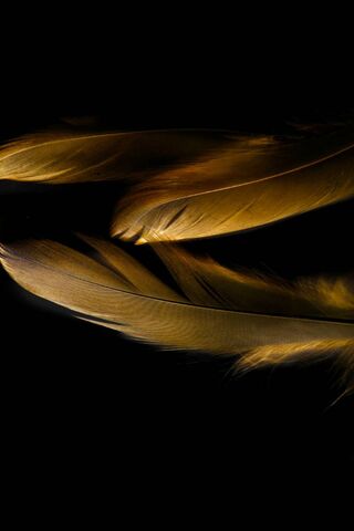 Elegance in Motion: The Huawei Mate Porsche Experience