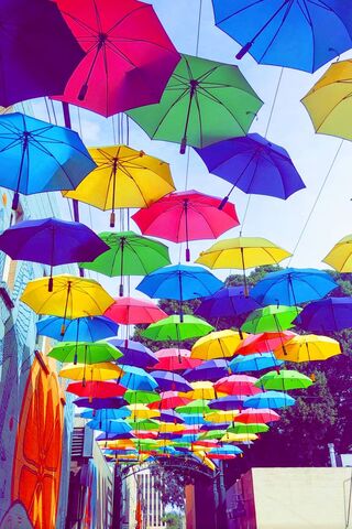 A Colorful Canopy of Joy ☂️🌈