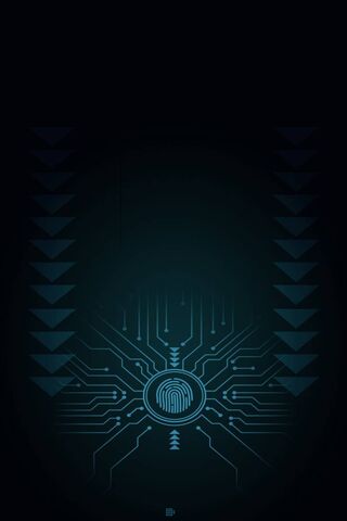 The Future of Identity:..