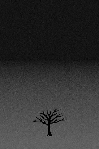 Eternal Roots: The X*xt..