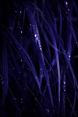 Abstract
