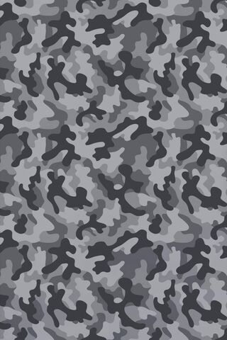 Urban Shadows: The Art of Gray Camouflage