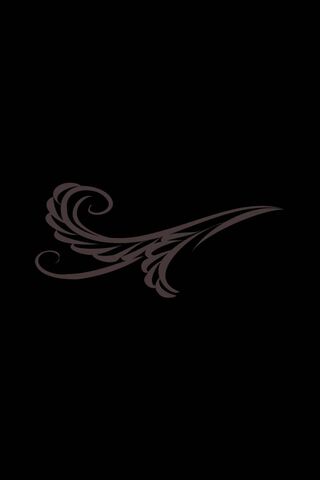 Elegant Flourish Design 🌿✨