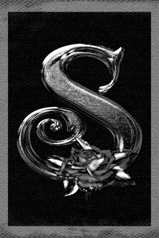 Sculpted Elegance: The ..