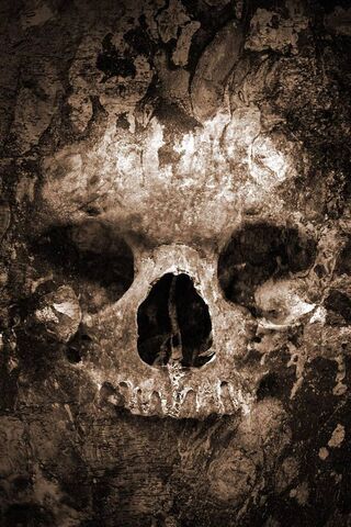 Whispers of the Past: T..