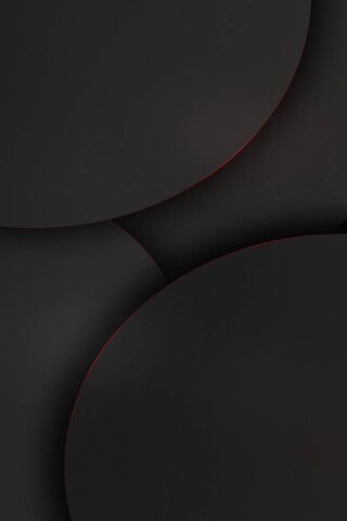 Shadows of Elegance