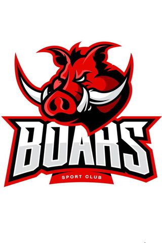 Boar