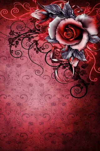 Rose Wallpaper - Download to your mobile from PHONEKY