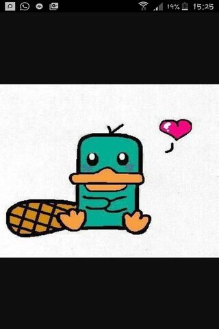 Cute Perry Wallpaper - Download to your mobile from PHONEKY