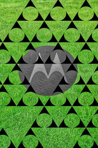 Moto Triangulo: A Fusion of Nature and Technology 🌿📱