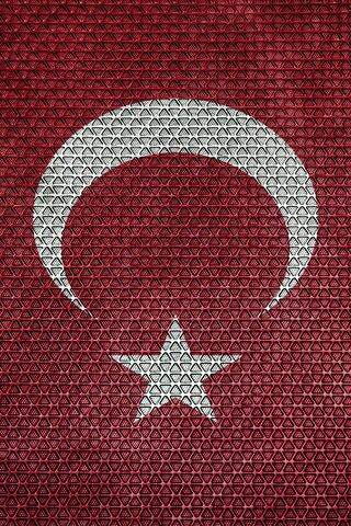 Turk Bayragi