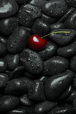 Cherry on the Rocks 🍒🖤