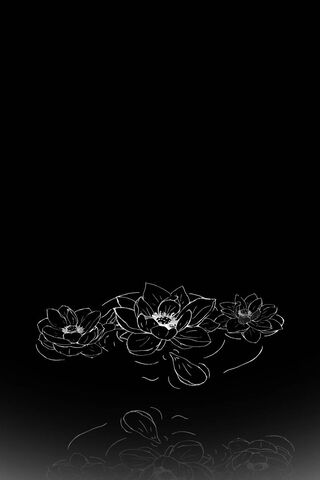Ethereal Elegance: The ..