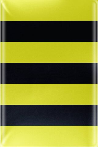 Stripes of Energy ⚡️