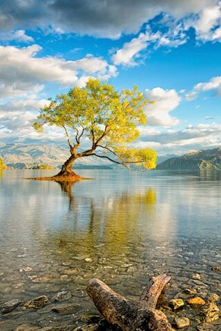 Reflections of Serenity..
