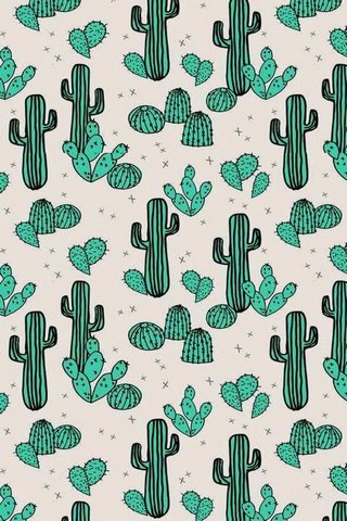 Cactus