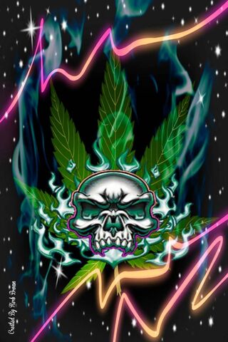 High Spirits: The Pot Skull Vibe 🌿💀