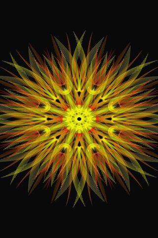 Radiant Aster: A Dance of Sunbeams 🌼☀️