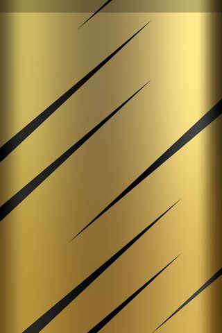 Golden Stripes of Elega..
