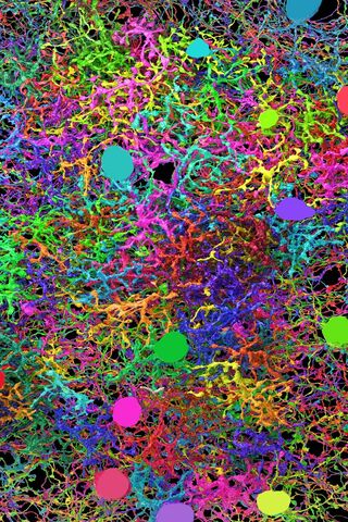 Colorful Chaos: The Art of Paint 🎨✨